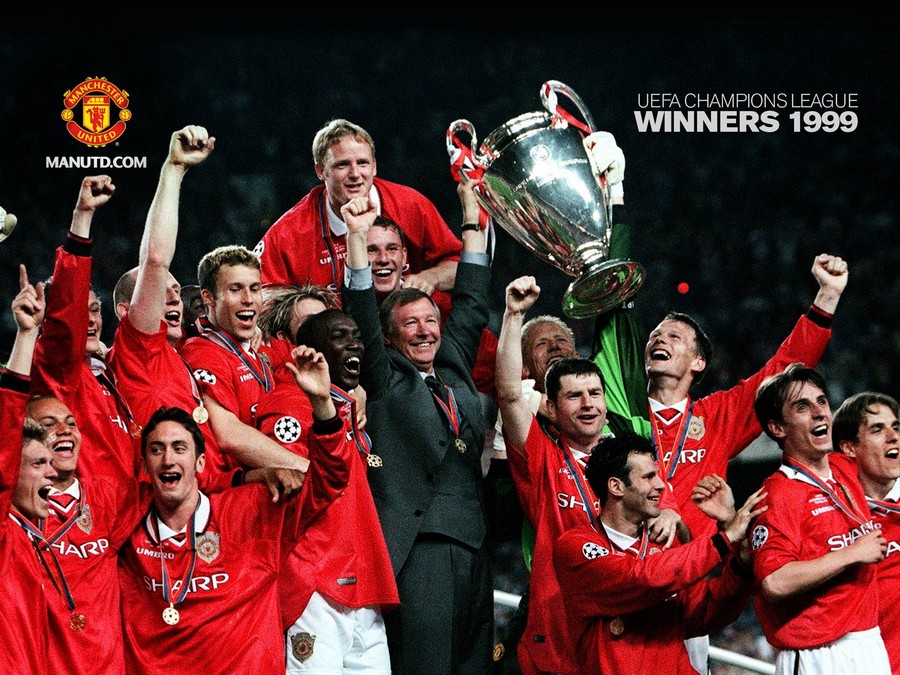 这种文化的 这种文化的