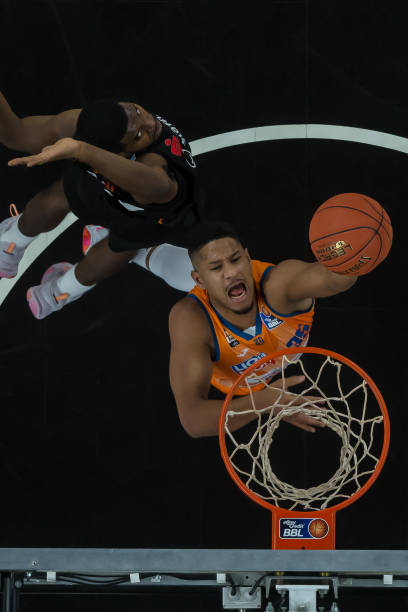 本期评议报 本期评议报